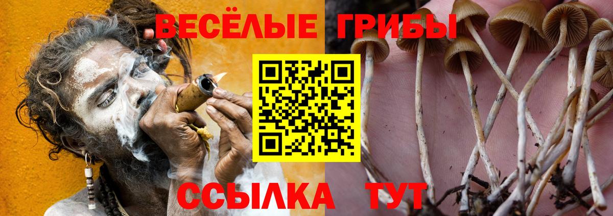 Псилоцибиновые грибы ЛСД Нарткала
